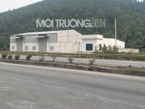 Nghệ An: Dân tố xã bán đất rừng chưa chuyển dổi mục đích thành đất ở?